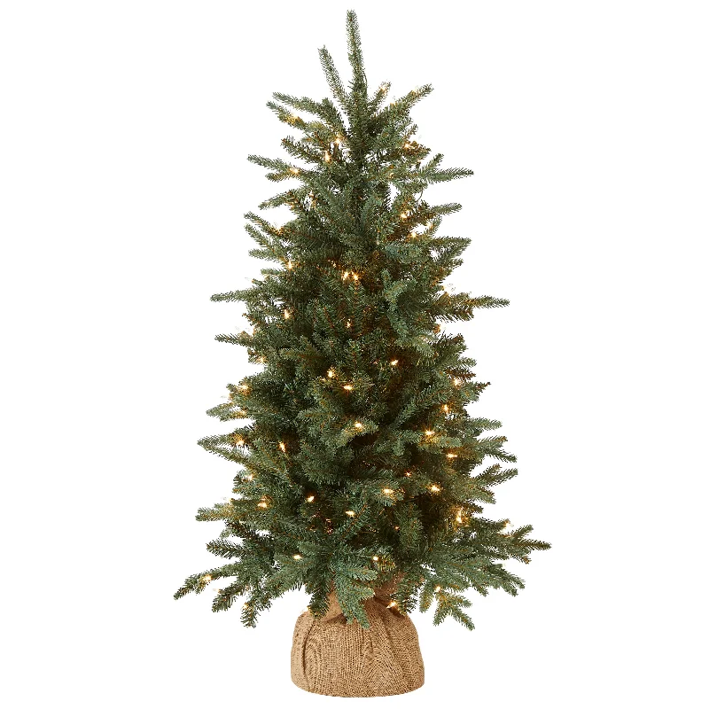 4 ft. Pre-Lit Everyday Collection Tree with Clear Lights