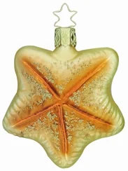 Bahaman Starfish Ornament by Inge Glas of Germany