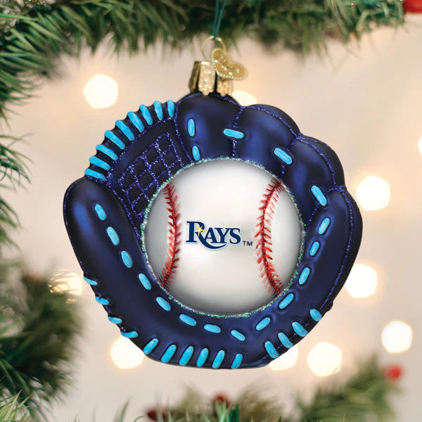 OWC-Rays Baseball Mitt