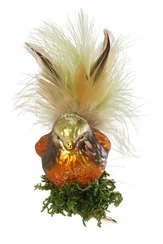 Forest Beauty Bird in Nest Ornament by Inge Glas of Germany