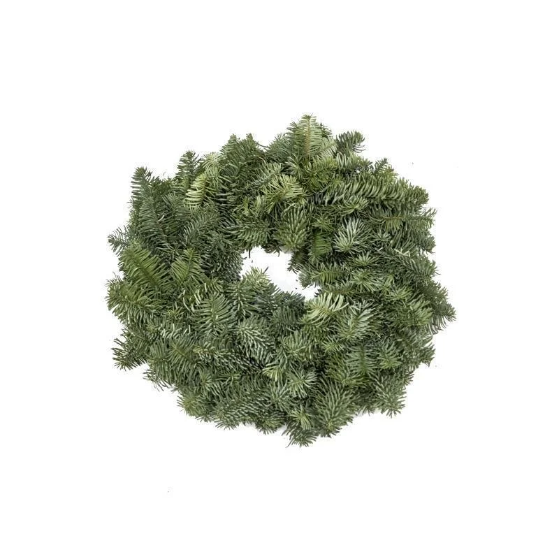 10 inch Plain Christmas Wreath