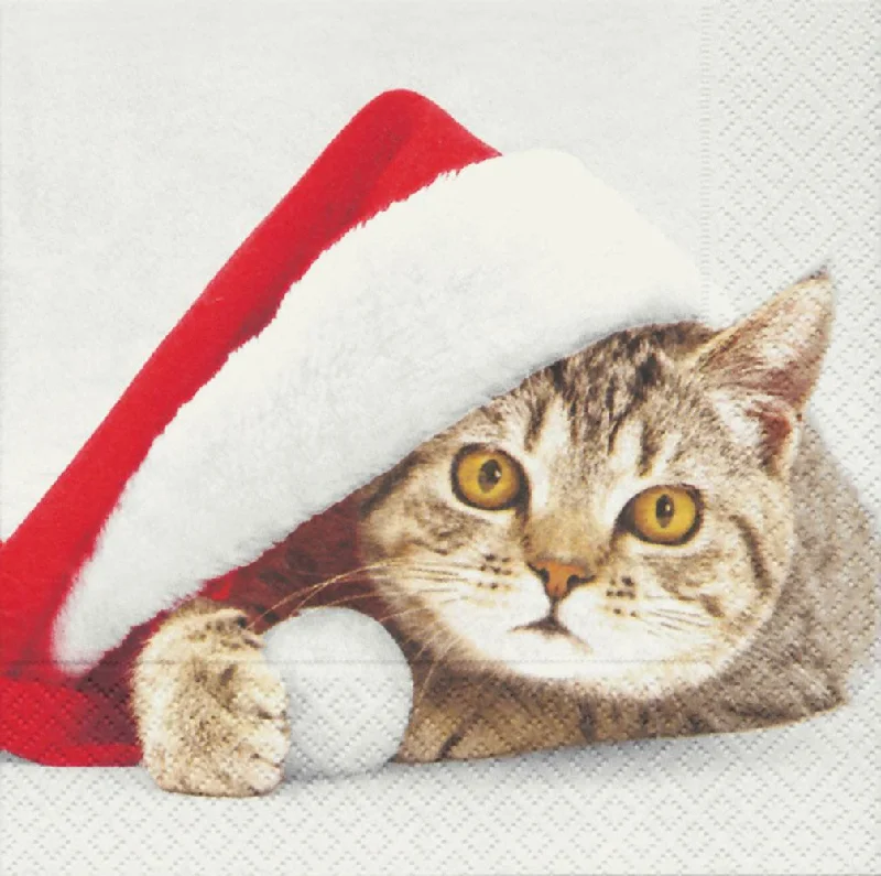 Santa Cat Luncheon Napkins by Paper and Design GmbH