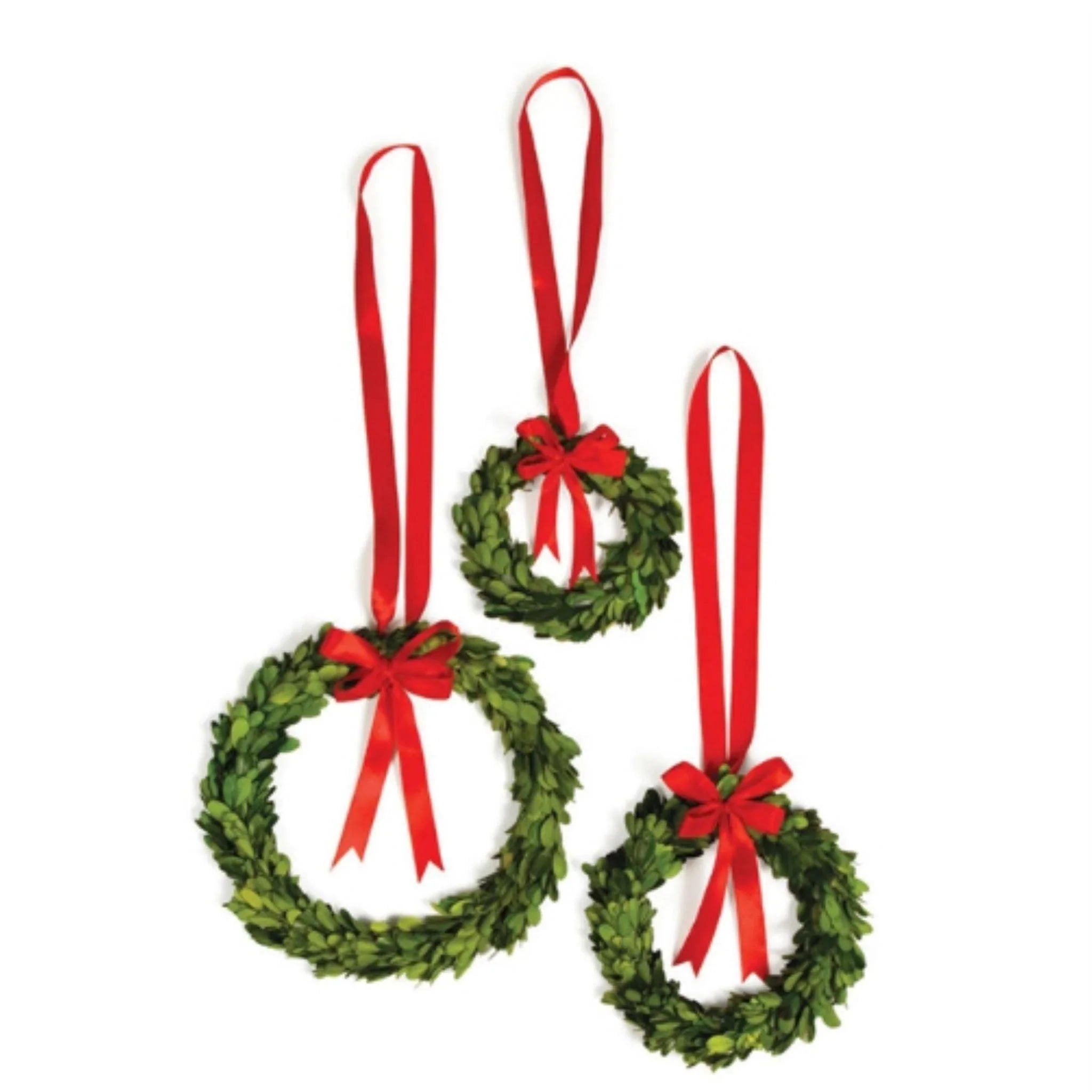 Set of Three Boxwood Wreaths with Red Ribbons